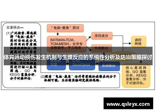 体育运动损伤发生机制与生理反应的系统性分析及防治策略探讨