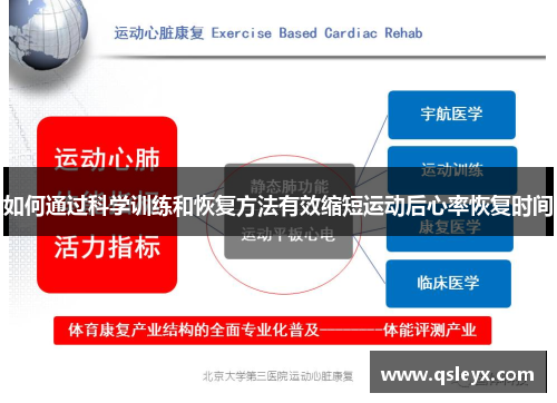 如何通过科学训练和恢复方法有效缩短运动后心率恢复时间