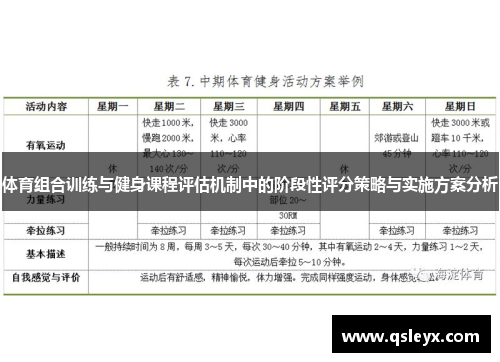 体育组合训练与健身课程评估机制中的阶段性评分策略与实施方案分析