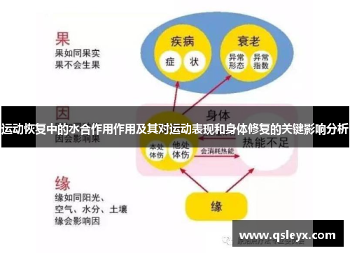 运动恢复中的水合作用作用及其对运动表现和身体修复的关键影响分析