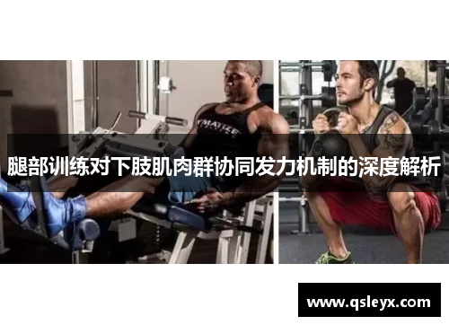 腿部训练对下肢肌肉群协同发力机制的深度解析